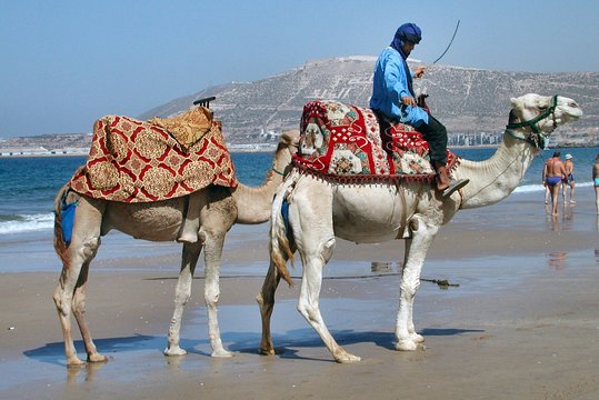 Tour image 6