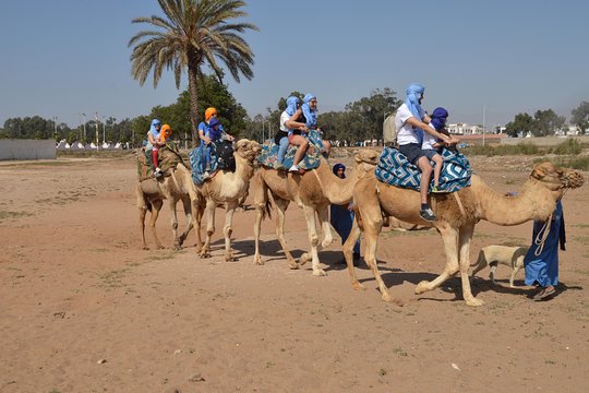 Tour image 6