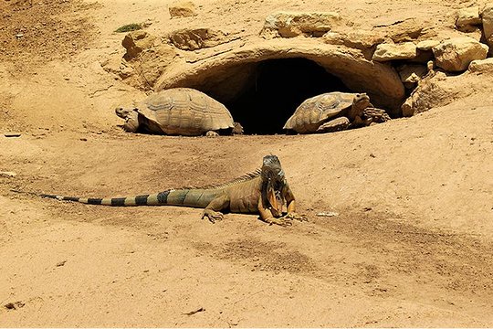 Tour image 4