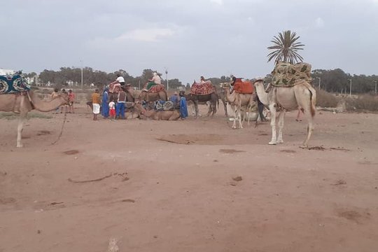 Tour image 6