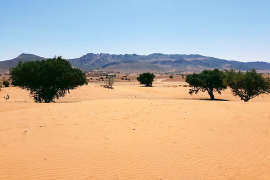 Tour image 5