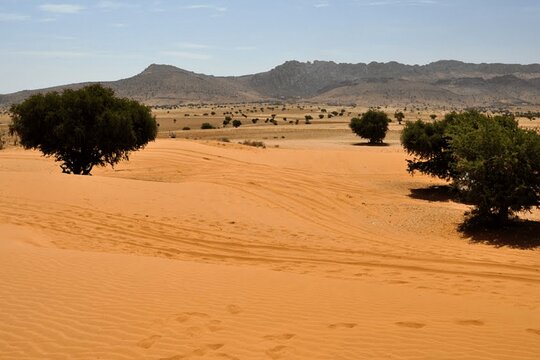 Tour image 2