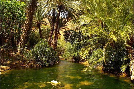 Tour image 2