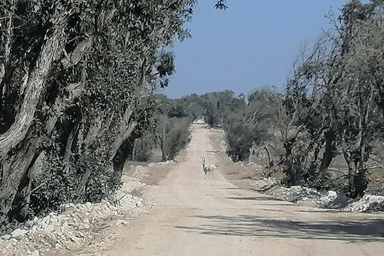 Tour image 6