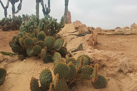 Tour image 11