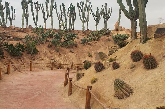 Tour image 13