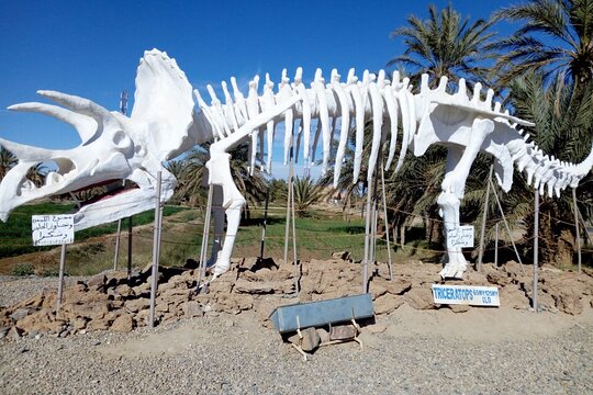 Tour image 3